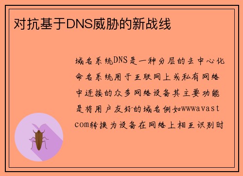 对抗基于DNS威胁的新战线 